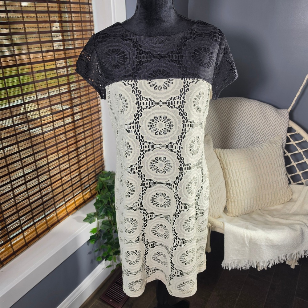 Maggy London Black Cream Lace Colorblock Shift Dress Size 12 Classic Chic